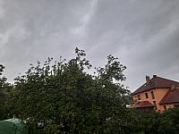 Olešná
