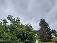 Olešná
