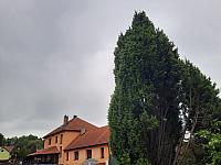 Olešná