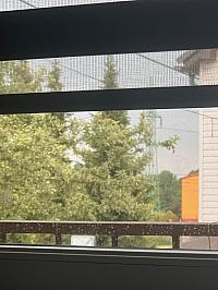 Fotografie