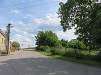 Třibřichy
