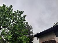 Olešná