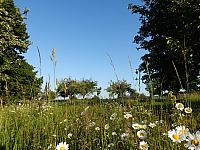 Dětenice-Brodek