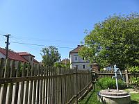 Třibřichy