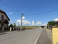 Třibřichy