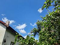 Olešná