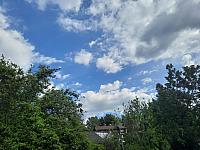 Olešná