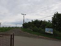 Třibřichy