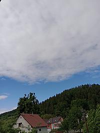 Hvozdnica