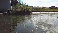 Nižná