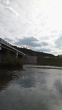Nižná