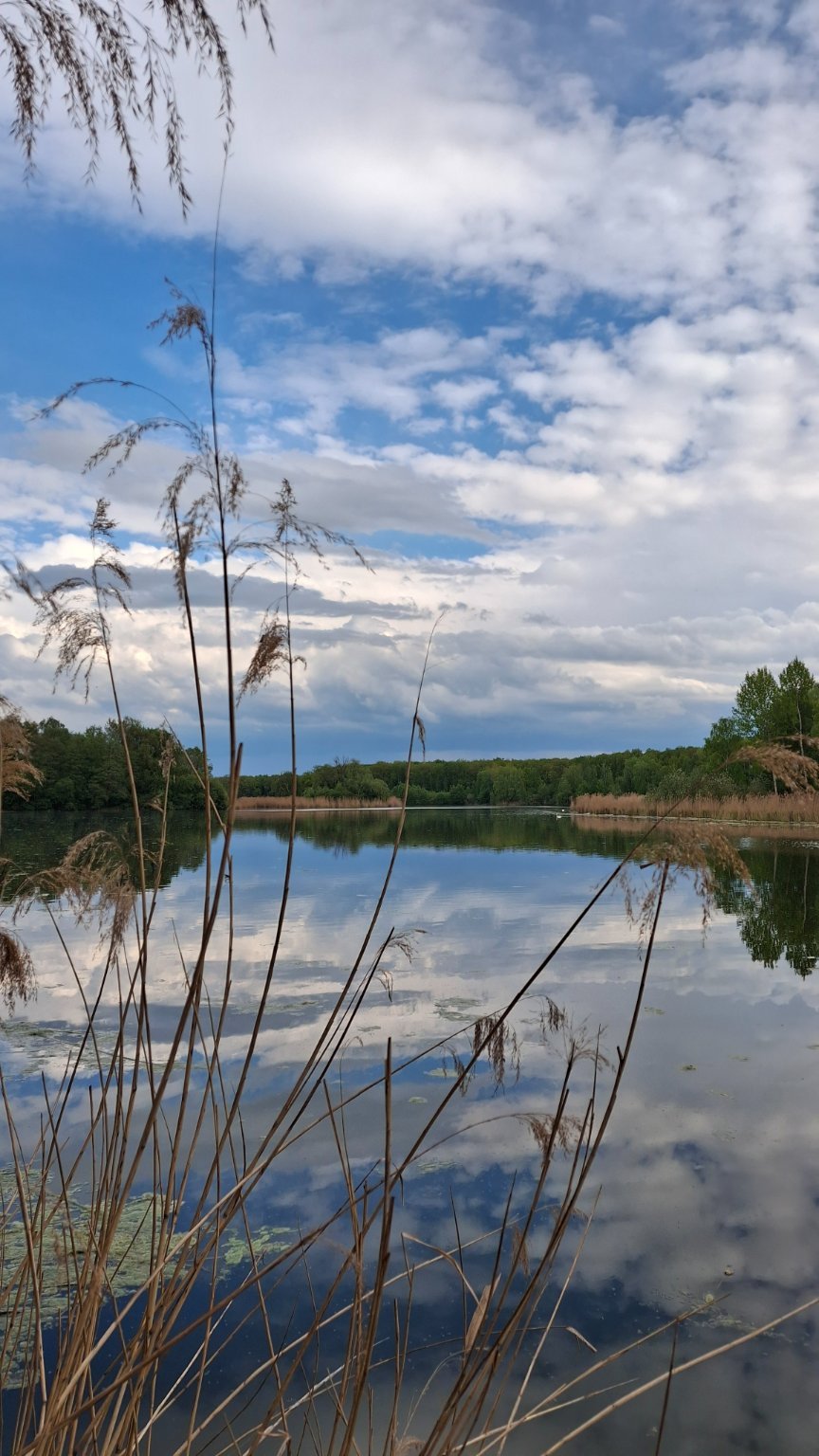Dětenice-Brodek