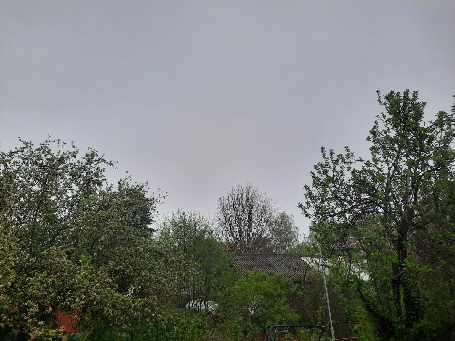 Olešná