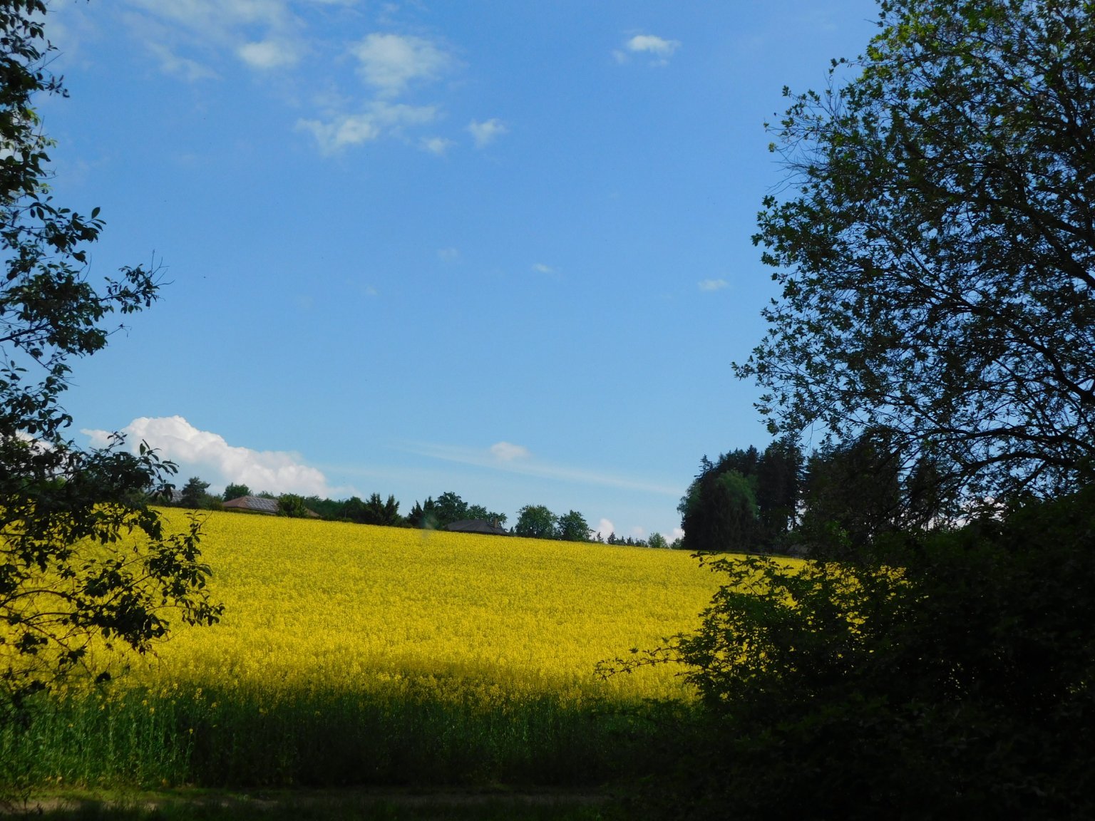 Němčice Zhoř