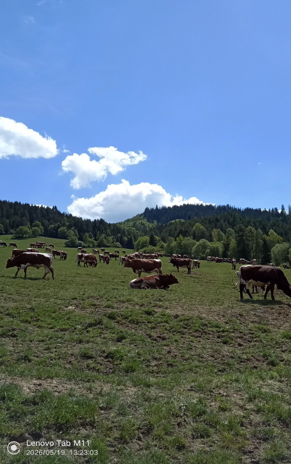 Stará Bystrica