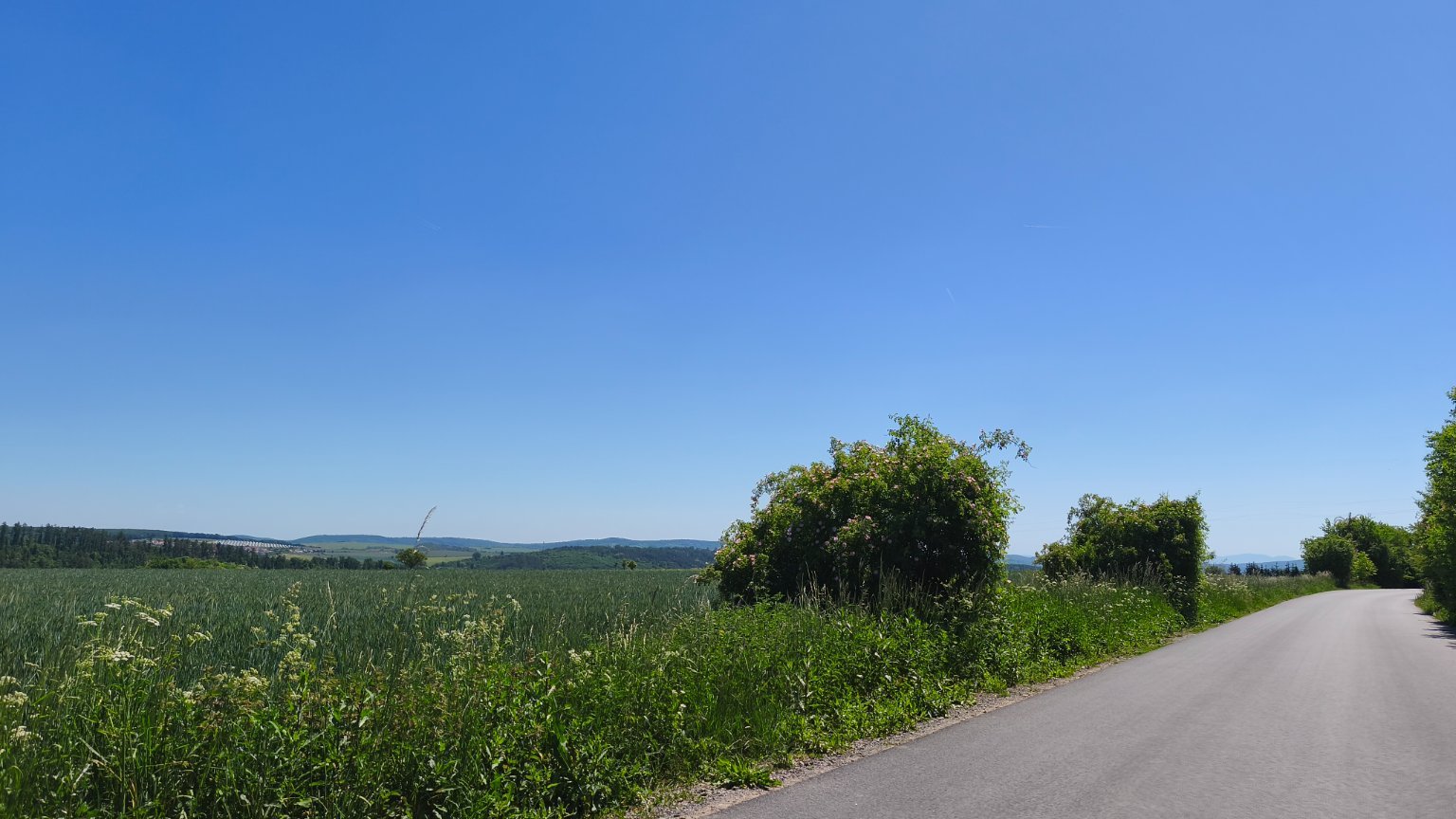 Lukovany