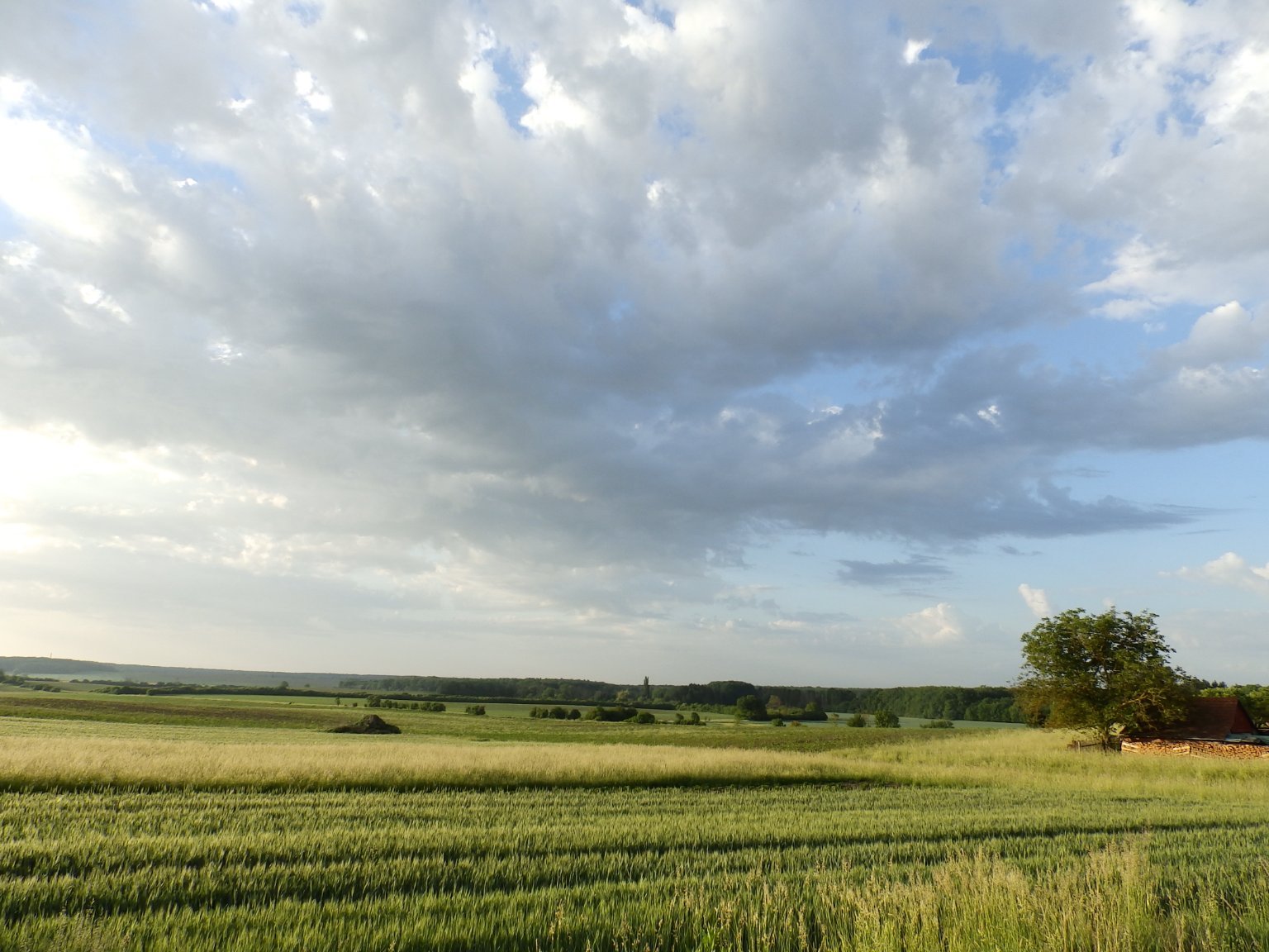 Dětenice-Brodek