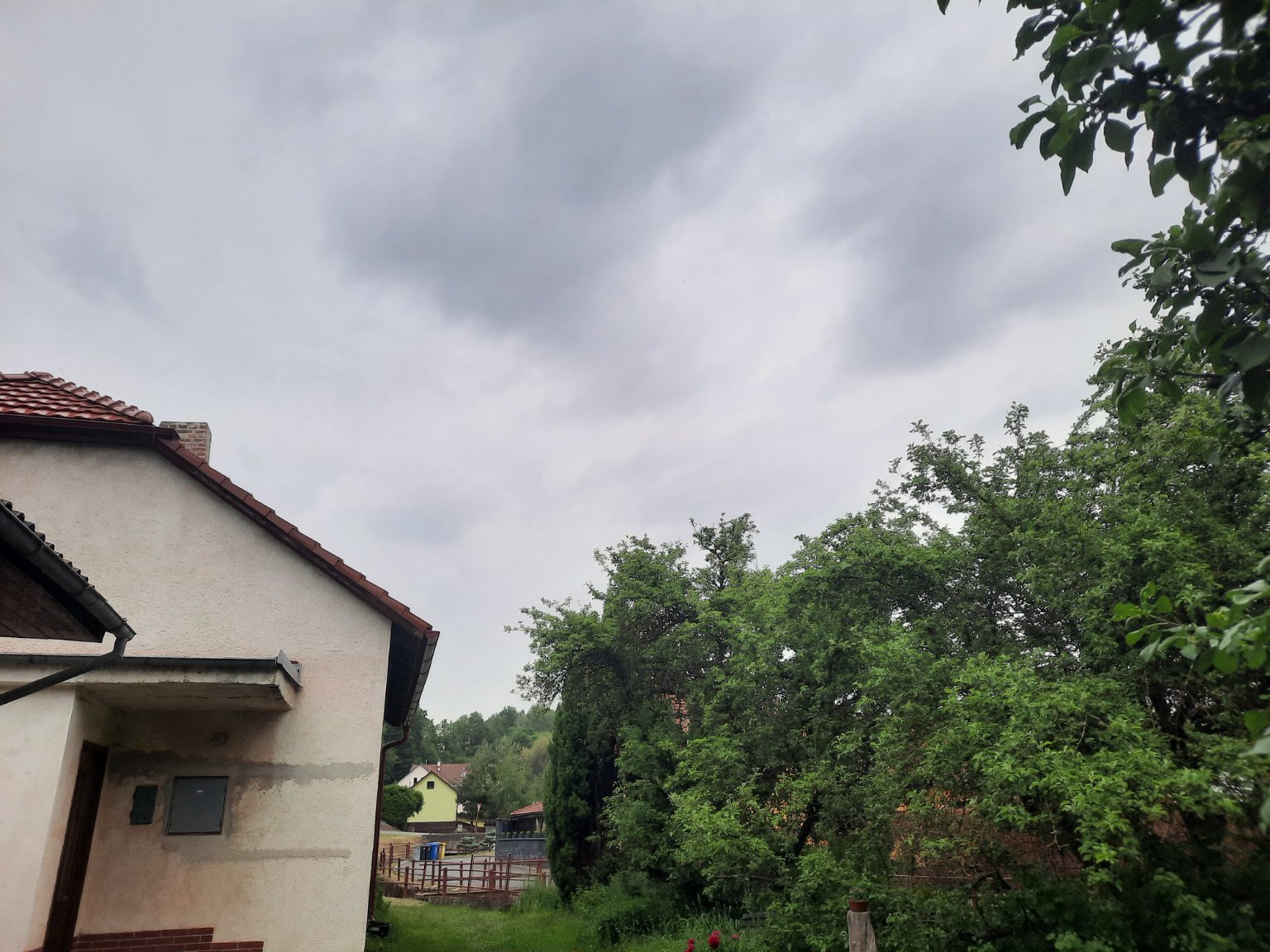 Olešná
