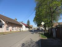 Třibřichy
