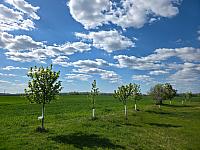 Odrovice