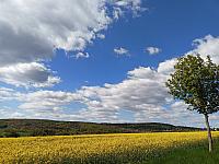Rousínov