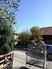 Stará Bystrica