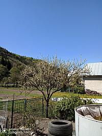 Stará Bystrica
