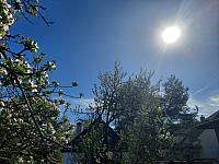 Olešná