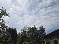 Olešná