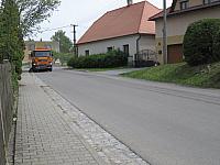Třibřichy