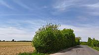 Lukovany