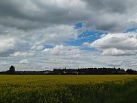 Němčice Zhoř