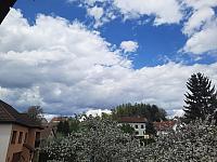 Olešná