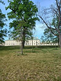 Svatý Mikuláš