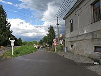 Třibřichy