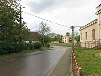 Třibřichy