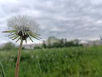 Olomouc-Lazce