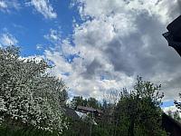Olešná