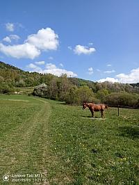 Stará Bystrica