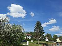 Olešná