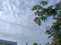 Olomouc-Lazce