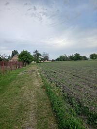 Svatý Mikuláš