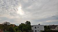 Hořice - Libonice