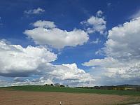 Olešná