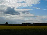 Němčice Zhoř