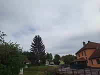 Olešná