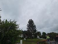 Olešná