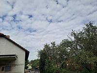 Olešná
