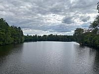 Malešov