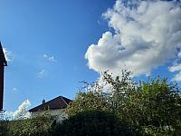 Olešná